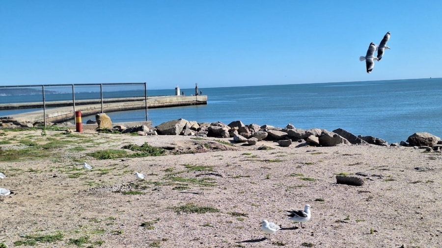 0 Bedroom Property for Sale in Velddrif Western Cape